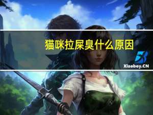 猫咪拉屎臭什么原因（拉屎臭什么原因）