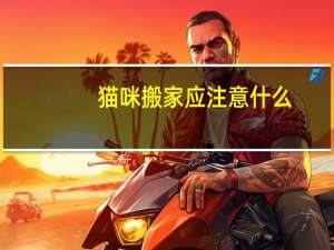 猫咪搬家应注意什么