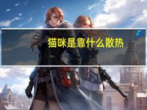 猫咪是靠什么散热