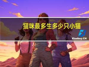 猫咪最多生多少只小猫