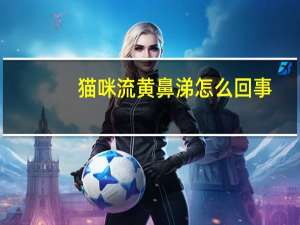 猫咪流黄鼻涕怎么回事