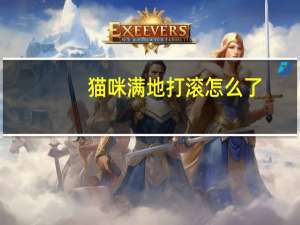 猫咪满地打滚怎么了