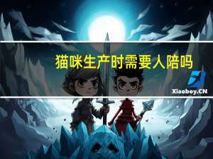 猫咪生产时需要人陪吗