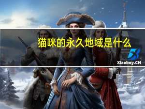猫咪的永久地域是什么