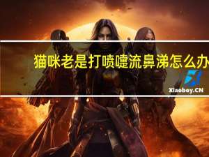 猫咪老是打喷嚏流鼻涕怎么办