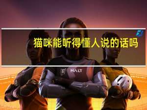 猫咪能听得懂人说的话吗