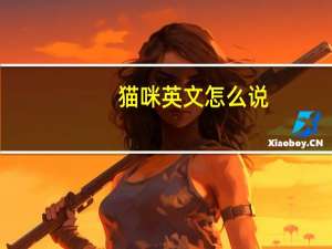 猫咪英文怎么说