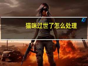 猫咪过世了怎么处理