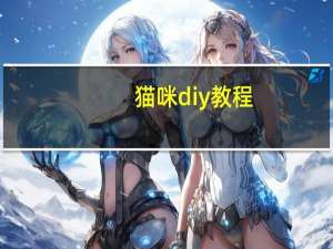 猫咪diy教程