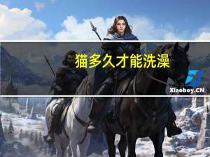 猫多久才能洗澡