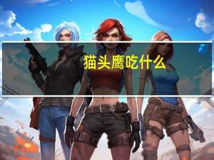 猫头鹰吃什么