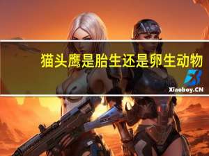 猫头鹰是胎生还是卵生动物