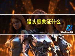 猫头鹰象征什么