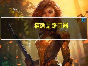 猫就是路由器（猫就是路由器吗）