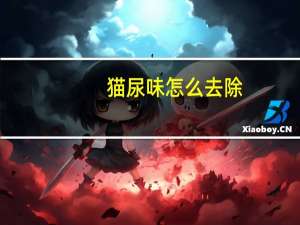 猫尿味怎么去除