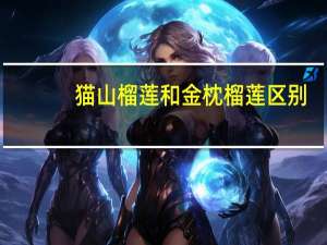 猫山榴莲和金枕榴莲区别
