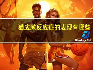 猫应激反应症的表现有哪些（猫应激反应）