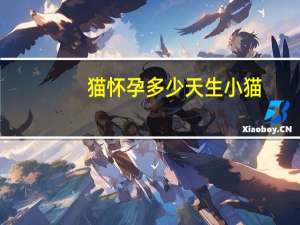 猫怀孕多少天生小猫