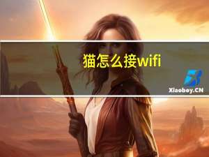 猫怎么接wifi（猫怎么接路由器）