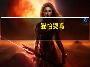 猫怕烫吗