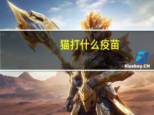 猫打什么疫苗