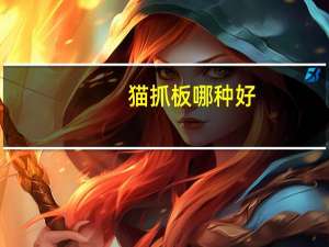 猫抓板哪种好