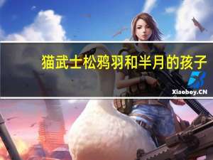 猫武士松鸦羽和半月的孩子（猫武士松鸦羽）