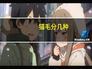 猫毛分几种