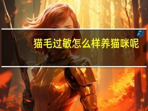 猫毛过敏怎么样养猫咪呢