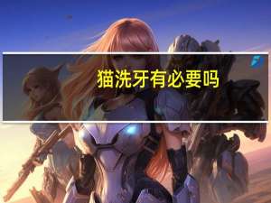 猫洗牙有必要吗