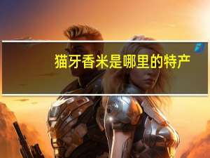 猫牙香米是哪里的特产