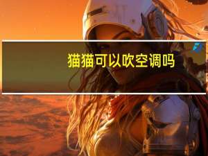 猫猫可以吹空调吗
