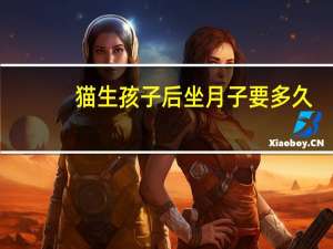 猫生孩子后坐月子要多久