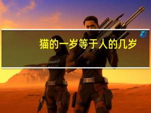 猫的一岁等于人的几岁