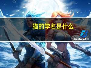 猫的学名是什么