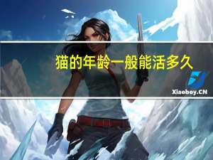 猫的年龄一般能活多久