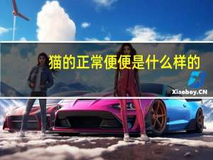猫的正常便便是什么样的