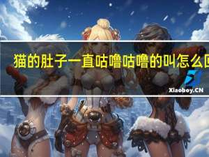 猫的肚子一直咕噜咕噜的叫怎么回事