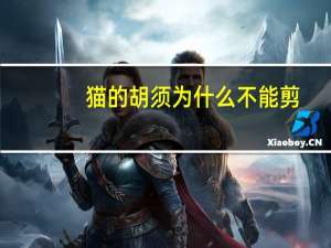 猫的胡须为什么不能剪（猫的胡须有什么作用）