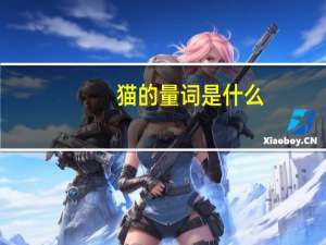 猫的量词是什么