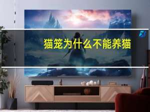 猫笼为什么不能养猫