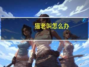 猫老叫怎么办