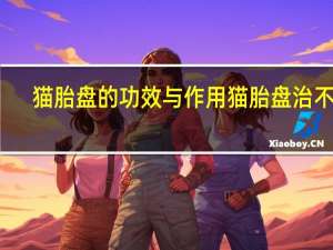 猫胎盘的功效与作用猫胎盘治不孕（猫胎盘的功效与作用）