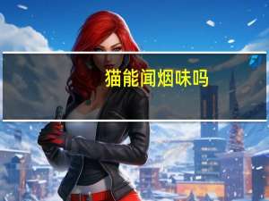 猫能闻烟味吗