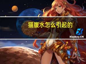 猫腹水怎么引起的