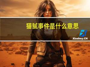 猫腻事件是什么意思（猫腻作者事件是什么）