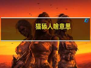 猫舔人啥意思