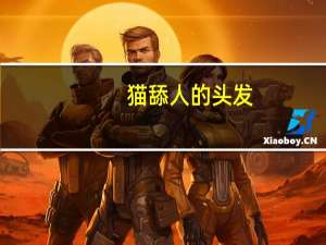 猫舔人的头发（猫舔人）