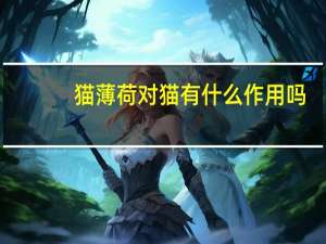 猫薄荷对猫有什么作用吗（猫薄荷对猫有什么作用）