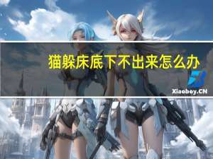 猫躲床底下不出来怎么办